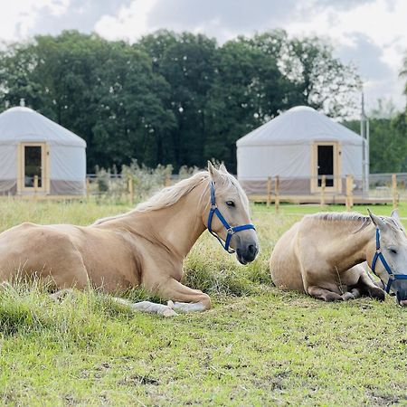 Magnolia Hoeve - Unieke Bestemming Voor Paardenliefhebbers En Bijzondere Overnachtingen In De Natuur Ledeacker Extérieur photo