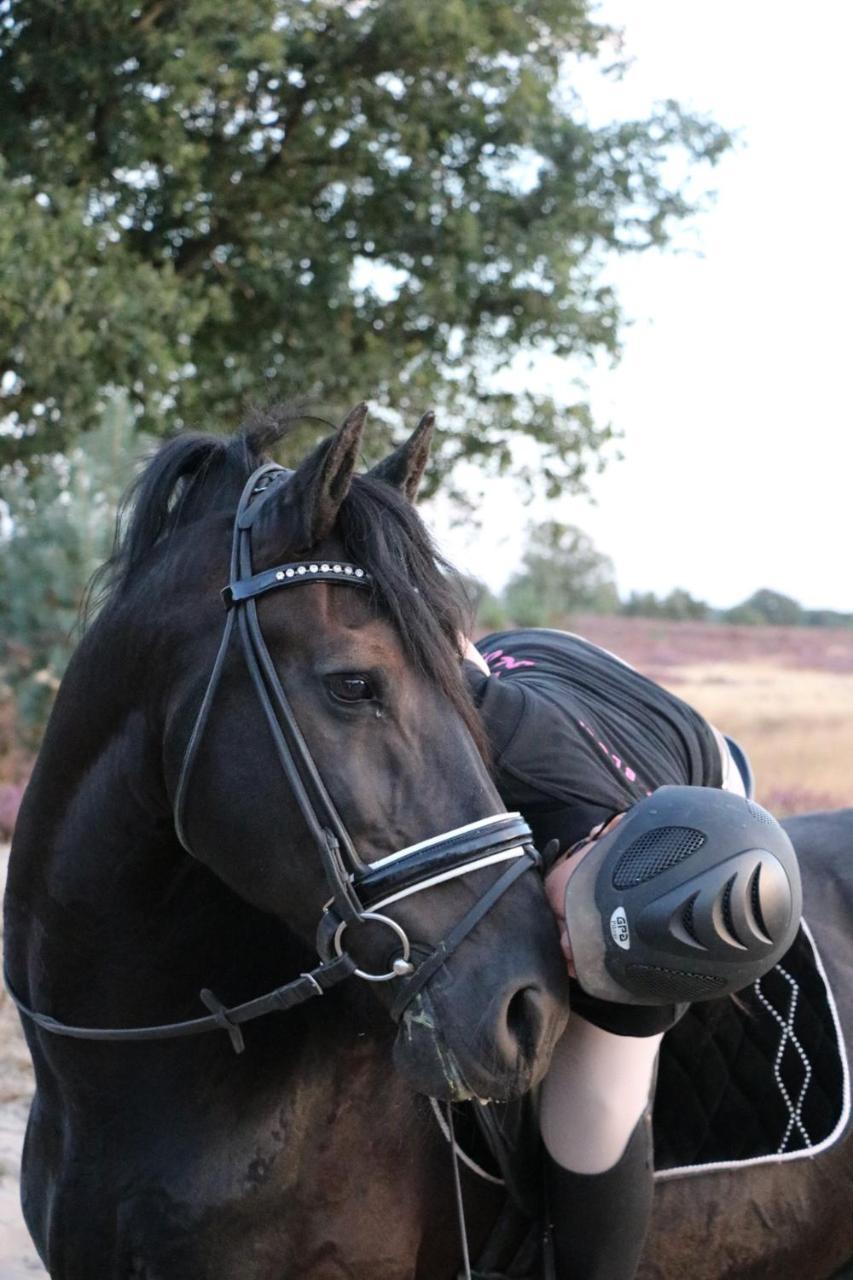 Magnolia Hoeve - Unieke Bestemming Voor Paardenliefhebbers En Bijzondere Overnachtingen In De Natuur Ledeacker Extérieur photo