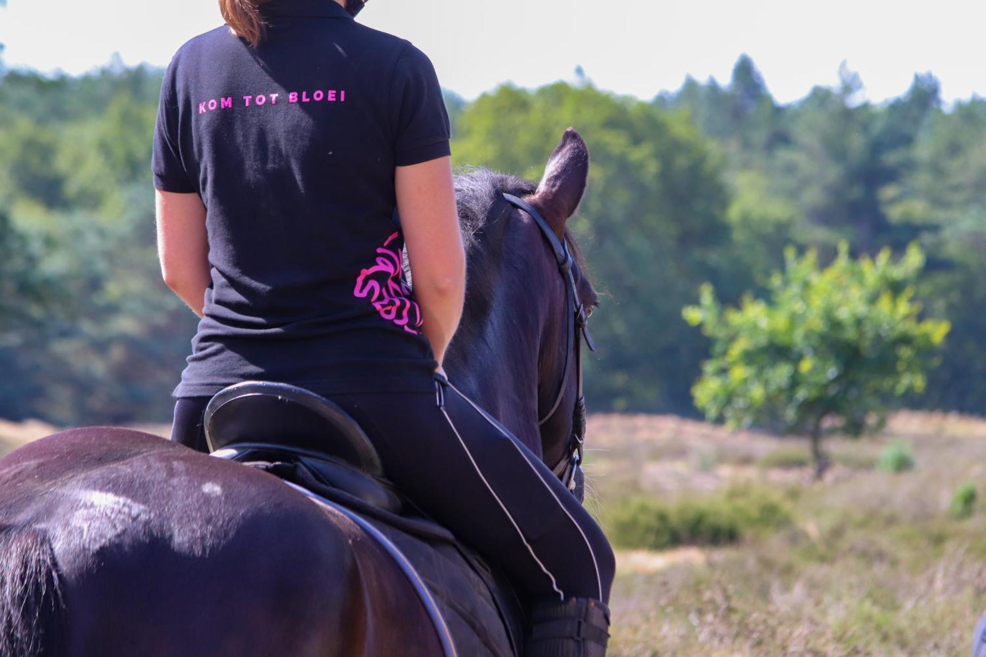 Magnolia Hoeve - Unieke Bestemming Voor Paardenliefhebbers En Bijzondere Overnachtingen In De Natuur Ledeacker Extérieur photo