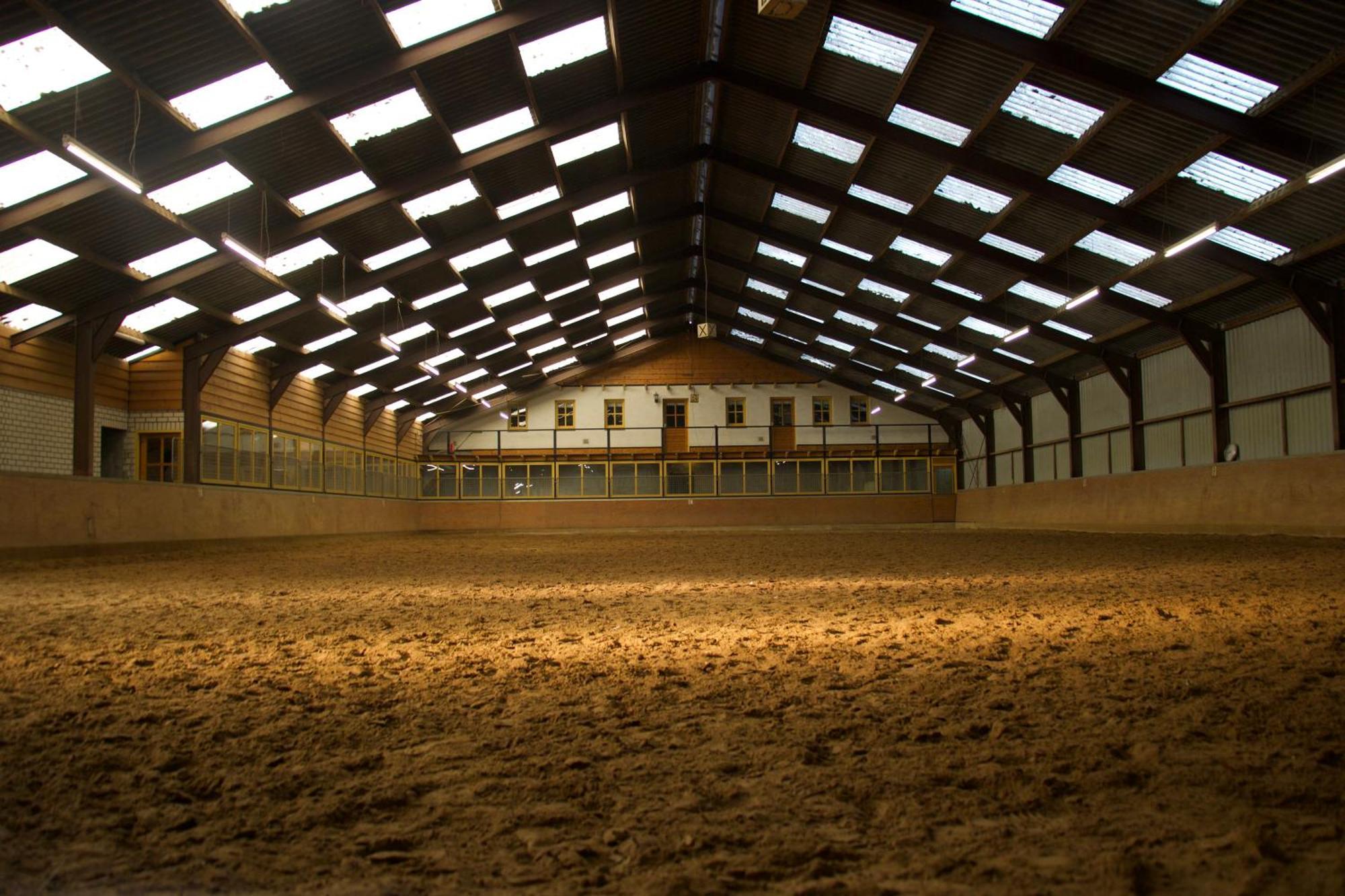 Magnolia Hoeve - Unieke Bestemming Voor Paardenliefhebbers En Bijzondere Overnachtingen In De Natuur Ledeacker Extérieur photo