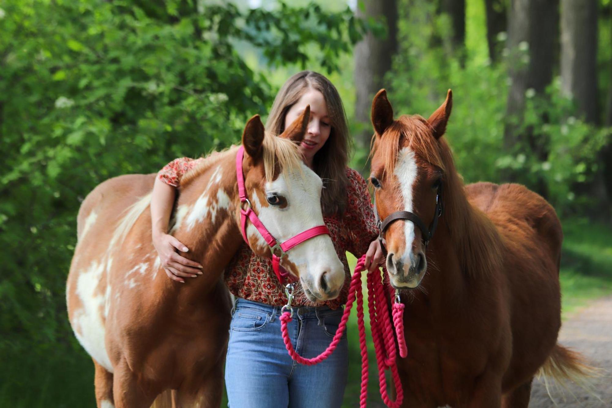 Magnolia Hoeve - Unieke Bestemming Voor Paardenliefhebbers En Bijzondere Overnachtingen In De Natuur Ledeacker Extérieur photo