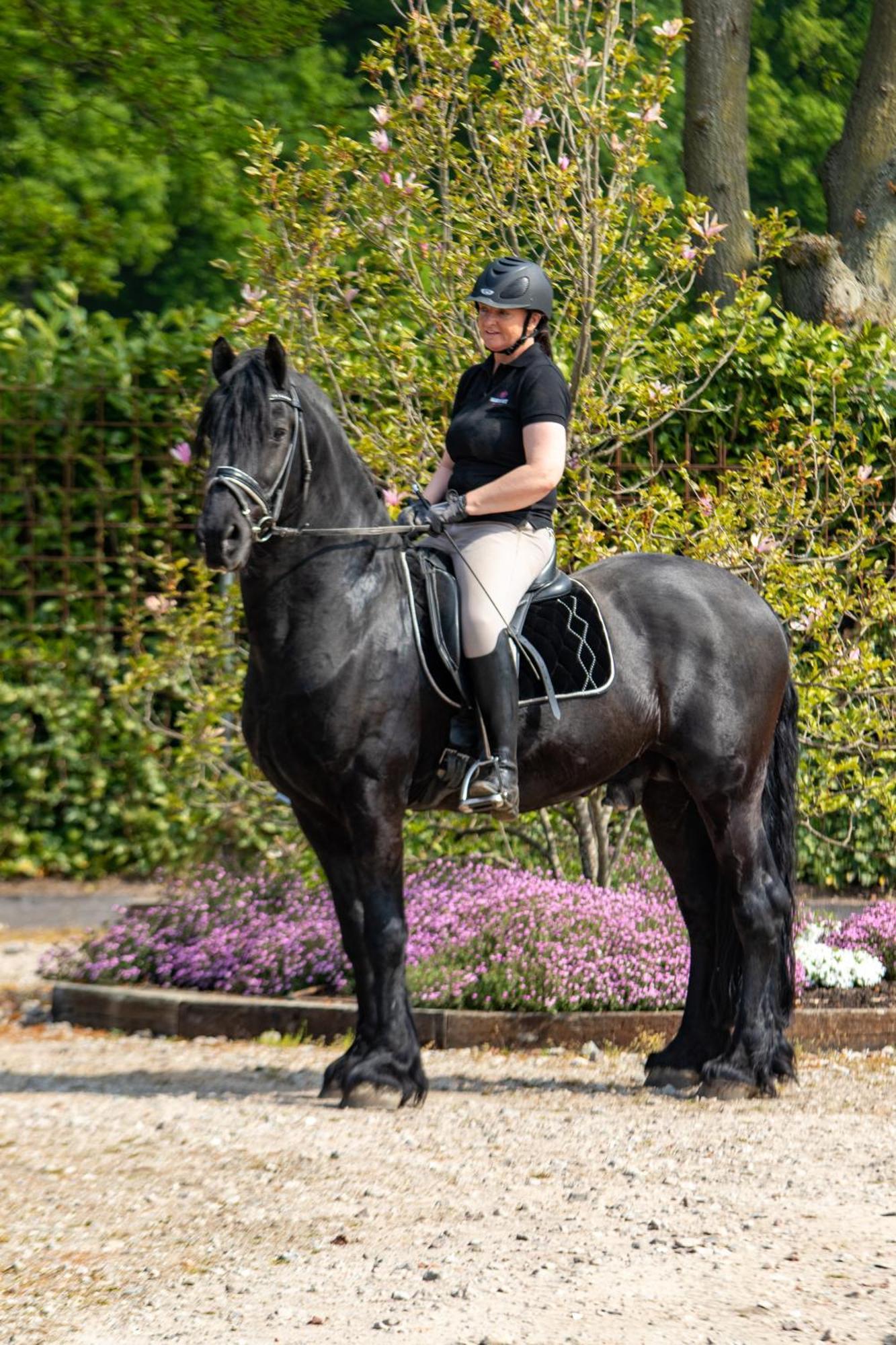 Magnolia Hoeve - Unieke Bestemming Voor Paardenliefhebbers En Bijzondere Overnachtingen In De Natuur Ledeacker Extérieur photo