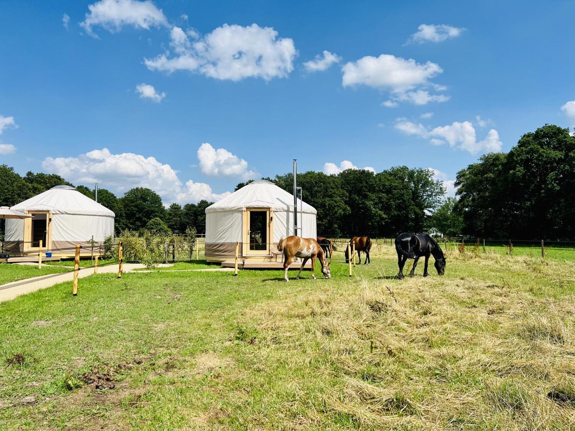 Magnolia Hoeve - Unieke Bestemming Voor Paardenliefhebbers En Bijzondere Overnachtingen In De Natuur Ledeacker Extérieur photo