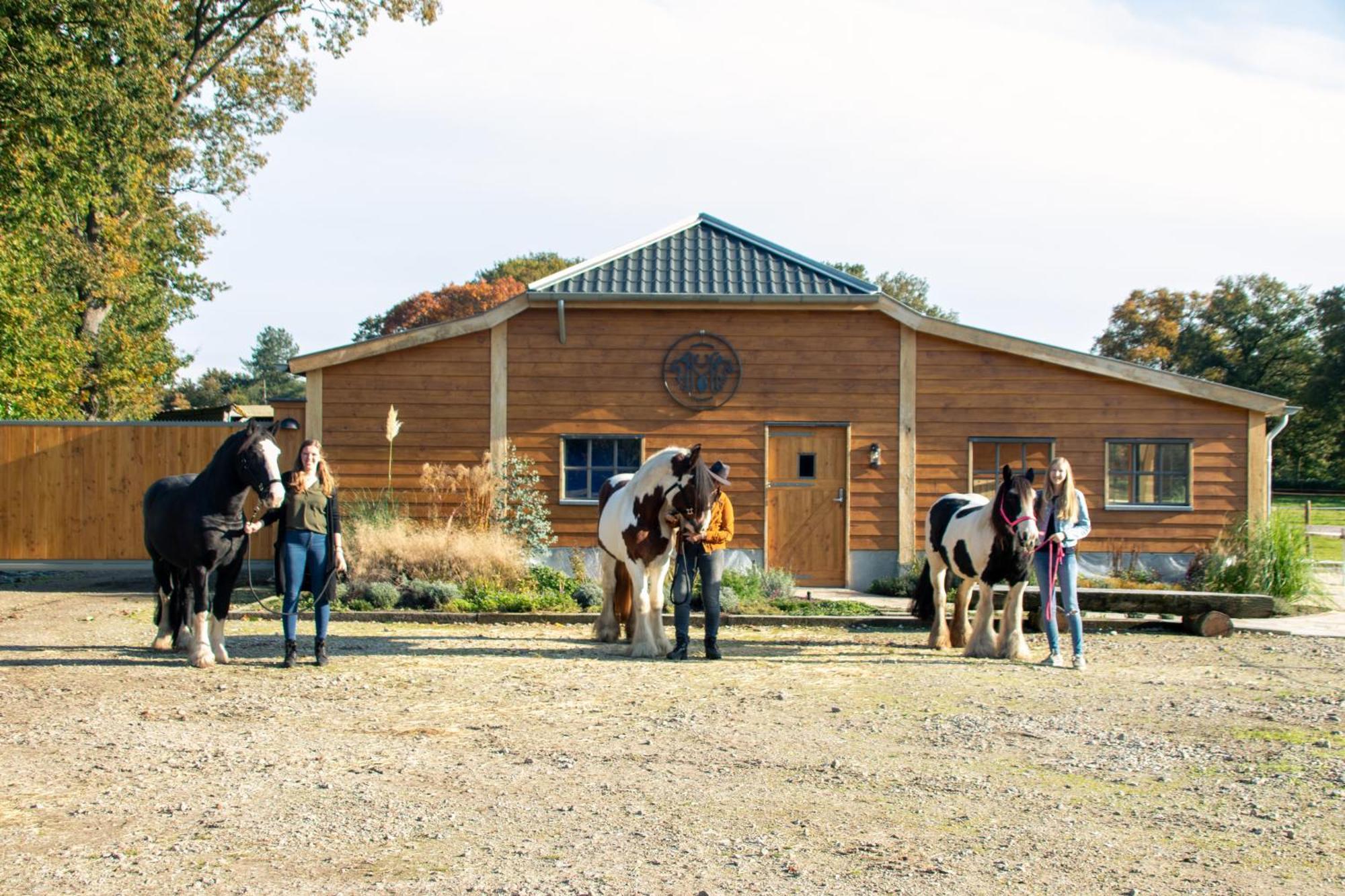Magnolia Hoeve - Unieke Bestemming Voor Paardenliefhebbers En Bijzondere Overnachtingen In De Natuur Ledeacker Extérieur photo