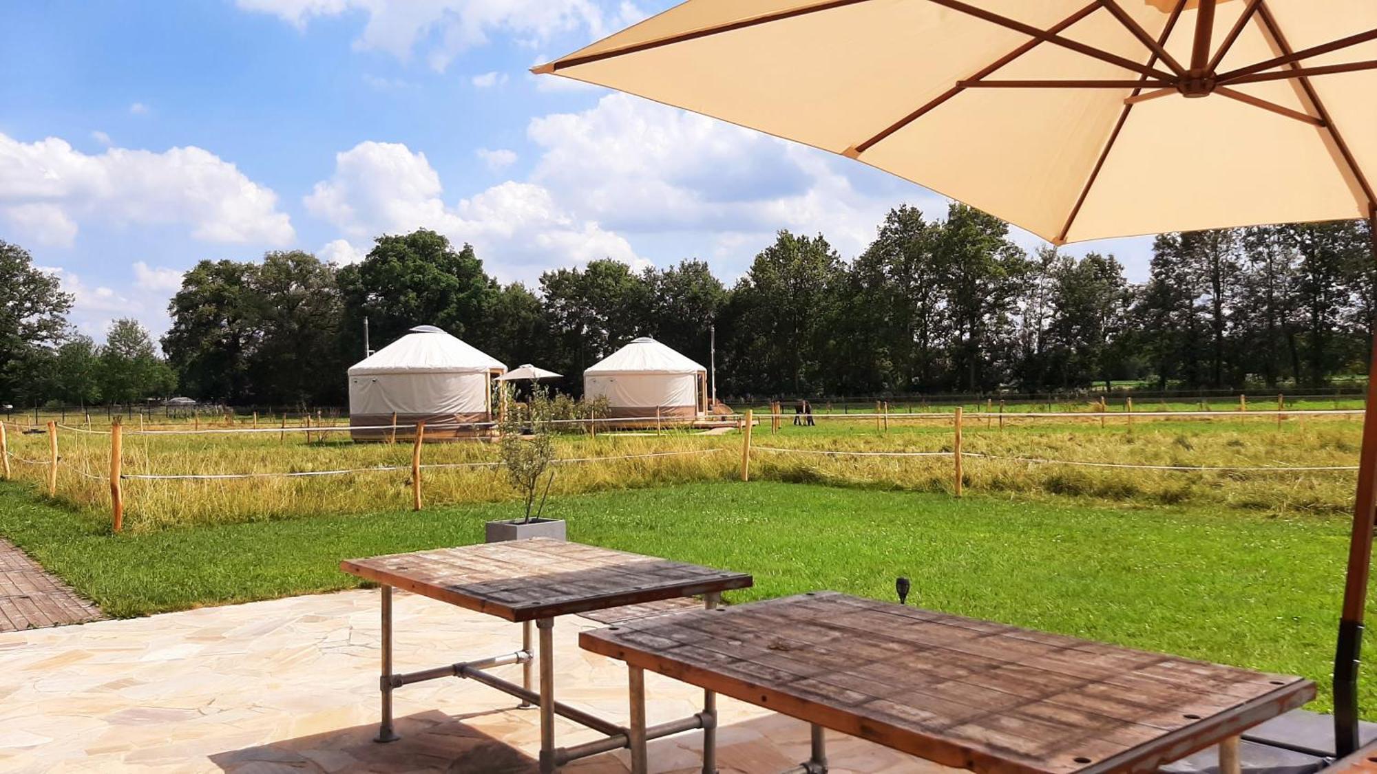 Magnolia Hoeve - Unieke Bestemming Voor Paardenliefhebbers En Bijzondere Overnachtingen In De Natuur Ledeacker Extérieur photo