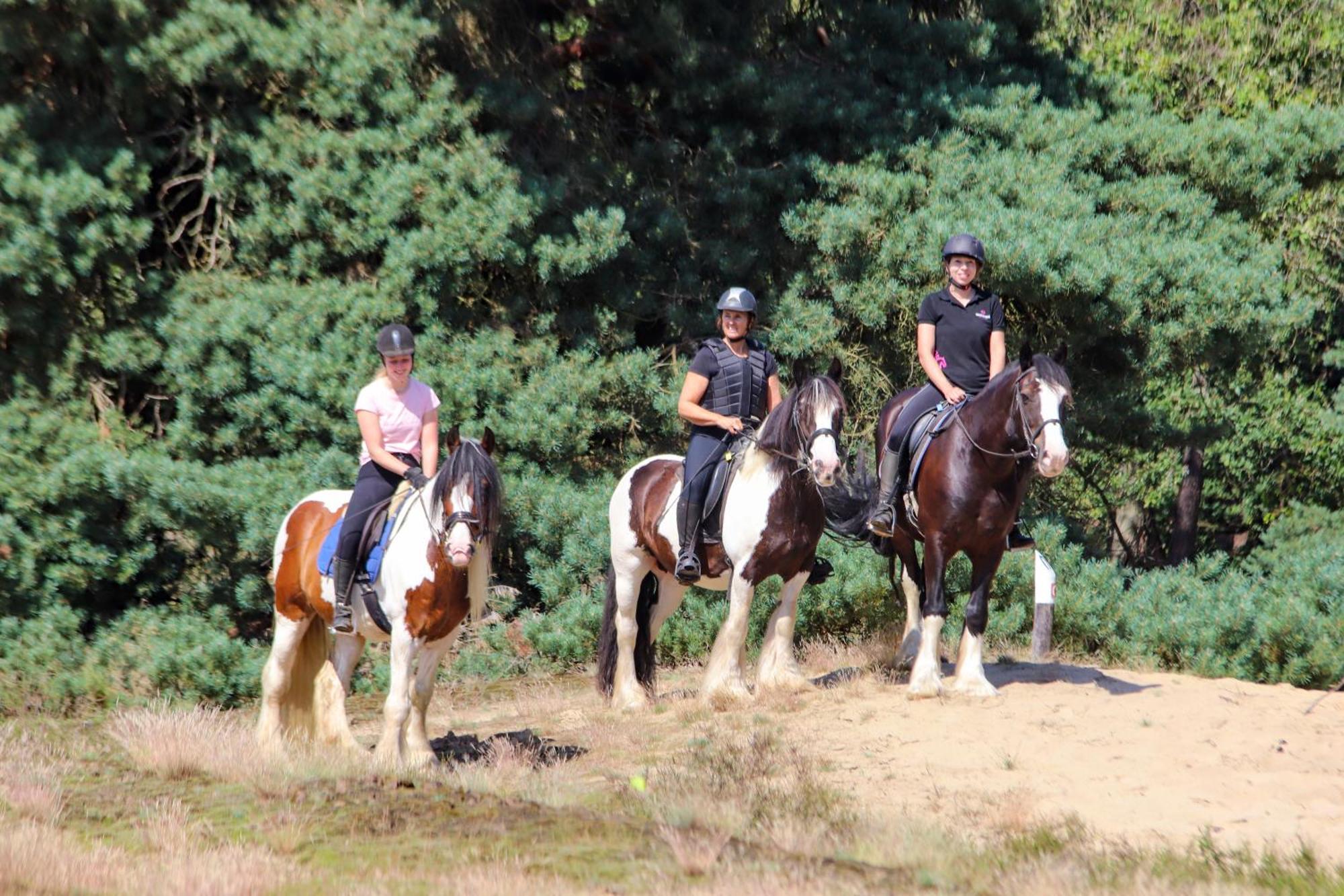 Magnolia Hoeve - Unieke Bestemming Voor Paardenliefhebbers En Bijzondere Overnachtingen In De Natuur Ledeacker Extérieur photo