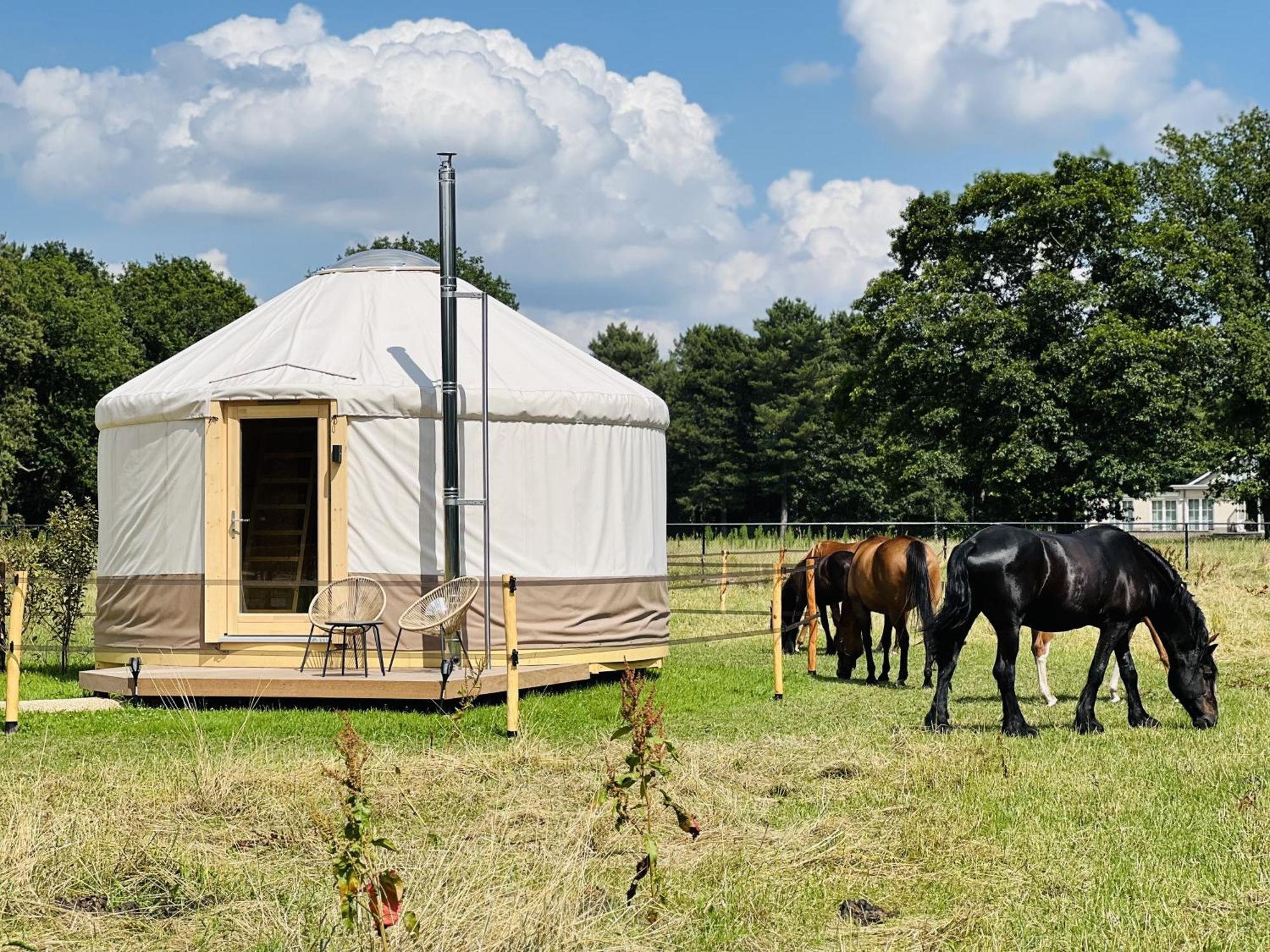 Magnolia Hoeve - Unieke Bestemming Voor Paardenliefhebbers En Bijzondere Overnachtingen In De Natuur Ledeacker Extérieur photo