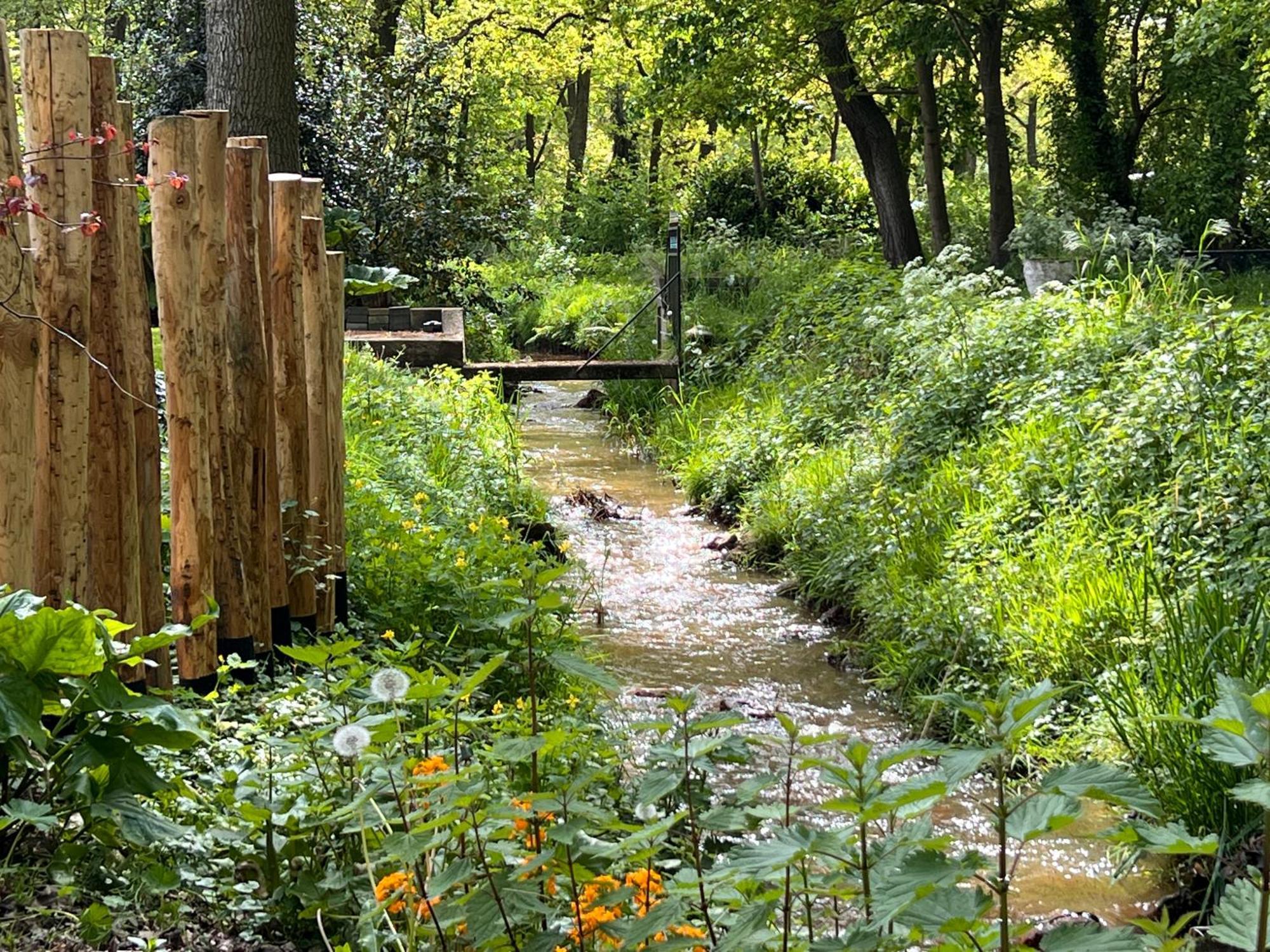 Magnolia Hoeve - Unieke Bestemming Voor Paardenliefhebbers En Bijzondere Overnachtingen In De Natuur Ledeacker Extérieur photo